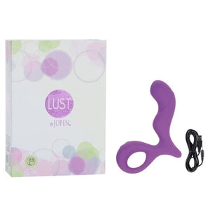 Anal Vibrators Lust L13 - Purple